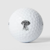 Balles De Golf Portrait noir et blanc Great Dane (Devant)