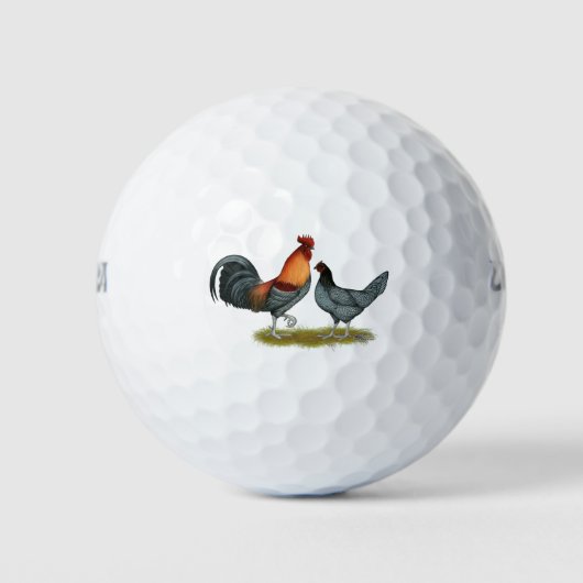 Balles De Golf Poule bleue du Delaware (Devant)