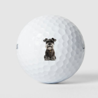 Balles de Golf pour Amoureux de Schnauzer