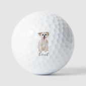 Balles de Golf pour chien Morkie (Recto)