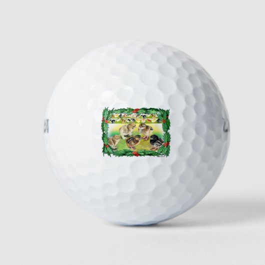 Balles De Golf Poussins de Noël (Devant)