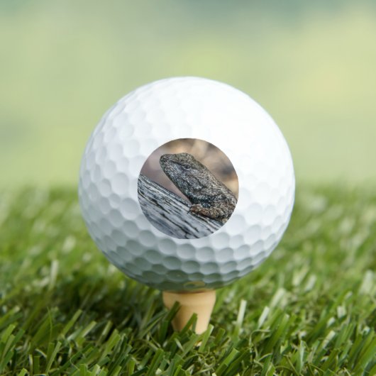 Balles De Golf Prairie Lizard (T-shirt Insitu)