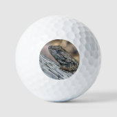 Balles De Golf Prairie Lizard (Recto)