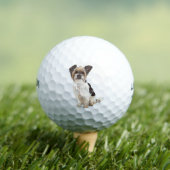 Balles De Golf Pretty Yorkshire Terrier et ShihTzu Crossbreed (T-shirt Insitu)