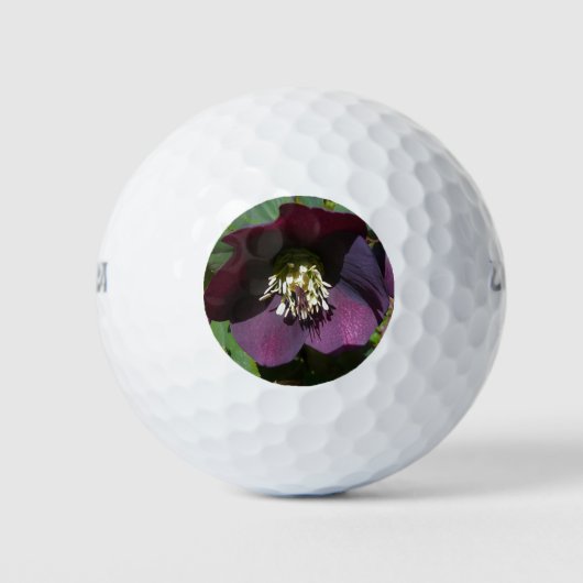 Balles De Golf Purple Carême Rose Pâques (Devant)