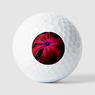 Balles De Golf Purple Wild Flower va gbcna