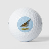 Balles De Golf Quail à échelle (Devant)