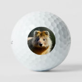 Balles De Golf Quintin Le Ginger Quokka, Balls De Golf (Recto)