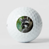 Balles De Golf Raccoon 001 (Recto)
