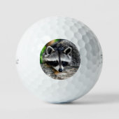 Balles De Golf Raccoon 003 (Recto)