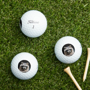 Balles De Golf Raccoon 004