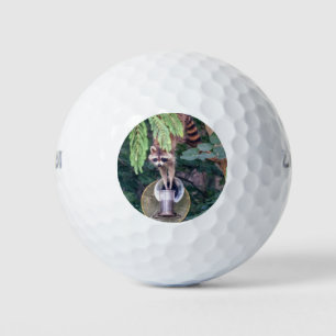 Balles De Golf Raccoon raid l'éleveur d'oiseaux