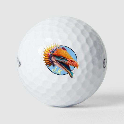 Balles De Golf Raptor Callaway Warbird Golf Balls (Devant)