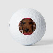 Balles De Golf Red Dachshund (Devant)