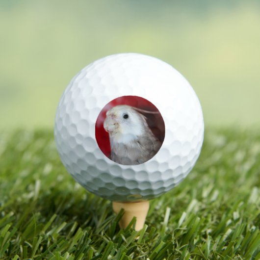 Balles De Golf Reeples (T-shirt Insitu)