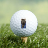Balles De Golf Regal Dave Bridgestone e6 Golf Ball (T-shirt Insitu)