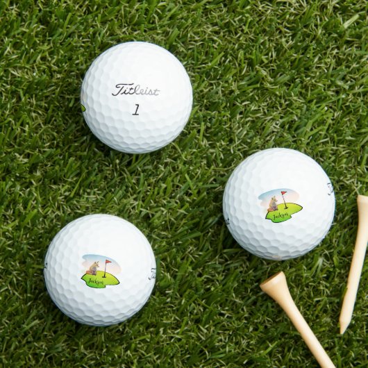 Balles De Golf Renard assis - Wild Animal Personnalisable Boules  (Herbe in situ)