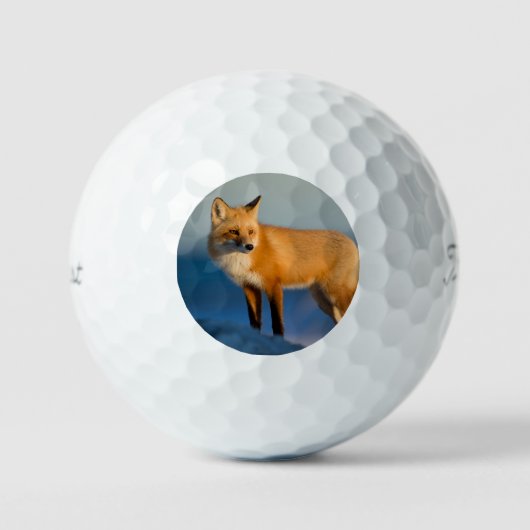 Balles De Golf Renard Brown (Recto)