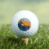 Balles De Golf Renard Brown (T-shirt Insitu)