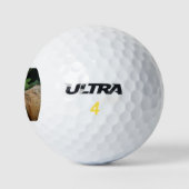 Balles De Golf Renard sauvage (Logo)