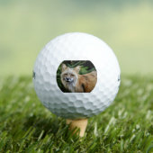 Balles De Golf Renard sauvage (T-shirt Insitu)