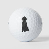 Balles De Golf Retrieur à revêtement plat (Devant)