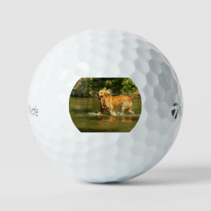Balles De Golf retriever-doré dans l'eau