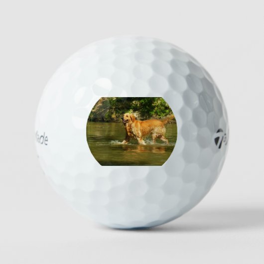 Balles De Golf retriever-doré dans l'eau (Recto)