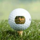 Balles De Golf retriever-doré dans l'eau (T-shirt Insitu)