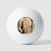 Balles De Golf rhinocéros blanc (Recto)