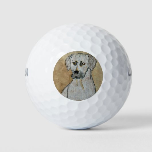 Balles De Golf Rhodesian Ridgeback (Devant)