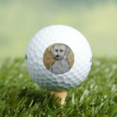 Balles De Golf Rhodesian Ridgeback (T-shirt Insitu)