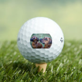 Balles De Golf rhodesian-ridgeback-group (T-shirt Insitu)
