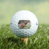 Balles De Golf ridgeback courant 2 (T-shirt Insitu)