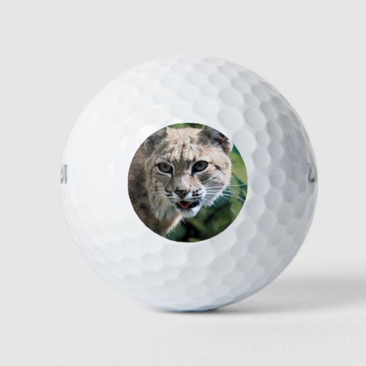 Balles De Golf Robert J. Bobcat (Devant)