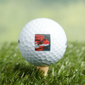 Balles De Golf Robin (T-shirt Insitu)
