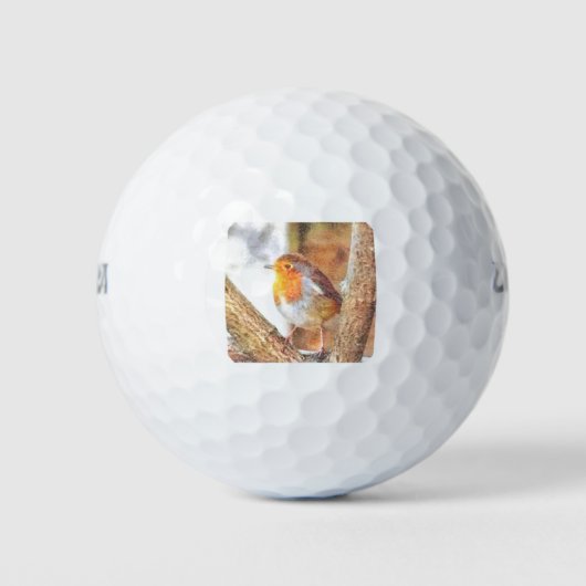 Balles De Golf Robin Artistique Redsein Perché (Devant)