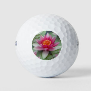 Balles De Golf Rose Lotus Water Lily