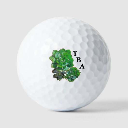 Balles De Golf Rosette Succulents Golf Balls (Recto)