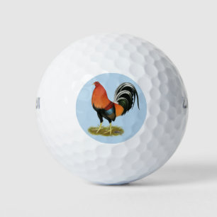 Balles De Golf Roster de Gamecock Wheaten