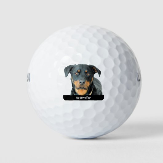 Balles De Golf Rottweiler (Devant)
