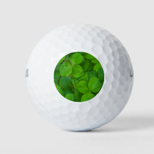 Balles De Golf Saint Basil Tulsi Green Mint Feuilles