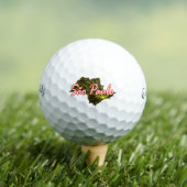 Balles De Golf Sao Paulo (T-shirt Insitu)