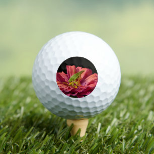 Balles De Golf Sauterelle sur Zinnia