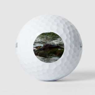 Balles De Golf Sceau du port de Sunset Lit II à San Diego