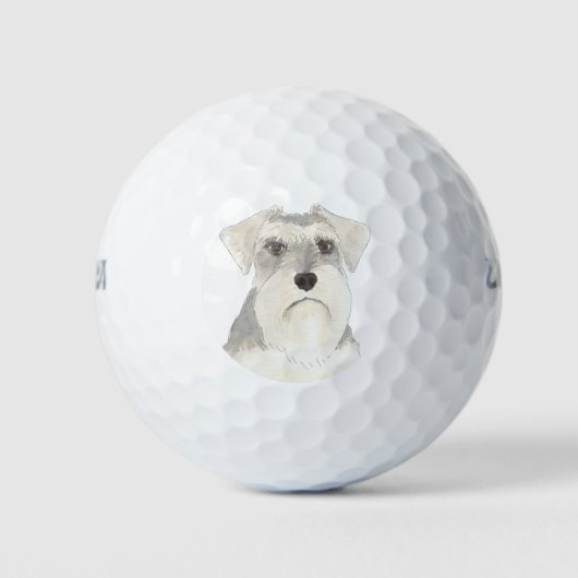 Balles De Golf Schnauzer blanc et gris (Devant)