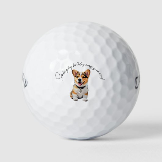 Balles De Golf 'Sending Big Birthday Wags Your Way!' Gift  (Devant)