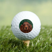 Balles De Golf Setter Rouge Irlandais (T-shirt Insitu)