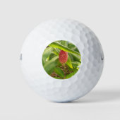 Balles De Golf Shampooing Fleur de gingembre (Devant)