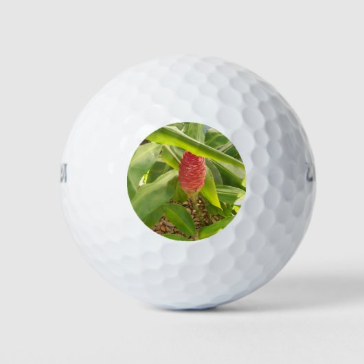 Balles De Golf Shampooing Fleur de gingembre (Devant)